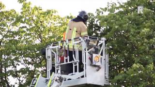 VIDEO Brandweer redt buizerd uit benarde positie [upl. by Stine]