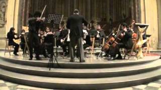 Peteris Vasks Concerto For Violin And String Orchestra Distant Light [upl. by Mcleroy737]