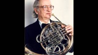 Leopold Mozart Horn Concerto amazing [upl. by Mahla]