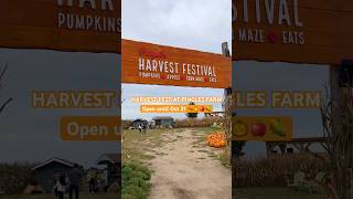 PINGLE’S FARM ANNUAL HARVEST FEST MUST DO FALL ACTIVITY 😍 [upl. by Jannery463]