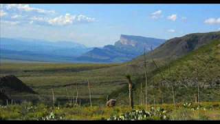 los alegres de terancorrido de coahuilawmv [upl. by Sterne]