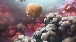 CAR T Cell Therapy Explained Animation  City of Hope [upl. by Sedruol]