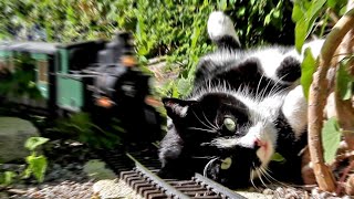 Katze vs Gartenbahn IV [upl. by Nedle161]