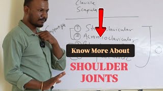 know about the shoulder joints and muscles yogaanatomy shoulderworkout shoulder jointpain [upl. by Acinonrev]