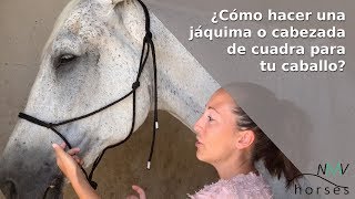 🐴Cómo hacer una jáquima o cabezada de cuadra para caballo🐴 [upl. by Reste]