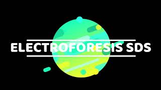 ELECTROFORESIS BIDIMENSIONAL Y SDS [upl. by Eilssel212]