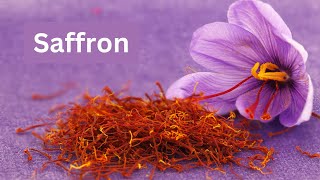 Health benefits of saffron How to make saffron tea [upl. by Rahm240]