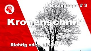 Kronenschnitt  Element der Baumpflege [upl. by Buyer775]