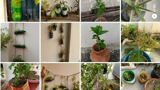 Zero budget gardening🤩 best out of waste waste material garden ideas🤩  reuse of waste material 💡 [upl. by Asirret1]