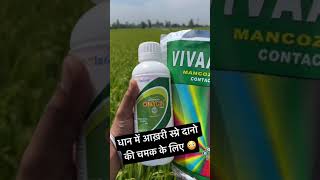 धान में आख़री स्प्रे दानो की चमक के लिए । M45  Kasugamycin  Fungicide paddycrops shorta reels [upl. by Elac]