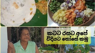 Dose makeoverතෝසේ හදමු [upl. by Sirrot750]