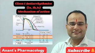 Class I Antiarrhythmics Use dependent blockadeIa Ib Ic [upl. by Barcellona37]