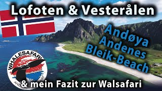 Walsafari Andenes amp Bleik Beach Camping I Lofoten amp Vesterålen Rundreise Teil 1 I [upl. by Annailuj]