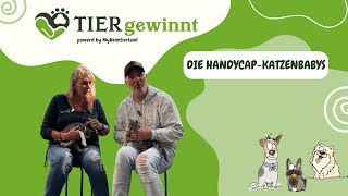 Folge 65  Die HandycapKatzenbabys [upl. by Corwin]