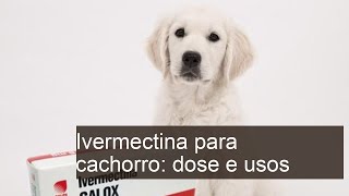 Ivermectina para cachorro  Para que serve e COMO USAR [upl. by Aivatnohs320]