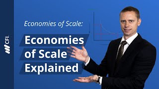 Economies of Scale Economies of Scale Explained [upl. by Assilim]