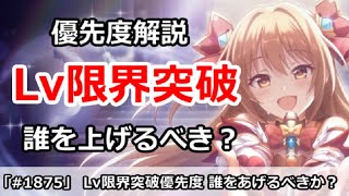 【プリコネ】Lv限界突破優先度解説 誰を上げるべきか！？【プリンセスコネクト！】 [upl. by Conan]