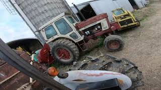 IH 1466 Blowing Silage [upl. by Divod]