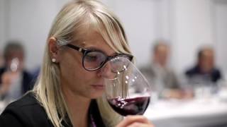 World Bulk Wine Exhibition 2016 [upl. by Melinde]