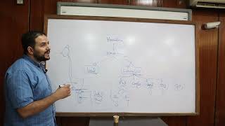 14 Approach to Hematuria  Dr Mostafa Sabrh MD [upl. by Azar]