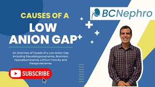 What Causes A Low Anion Gap BCNephro [upl. by Prince]