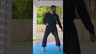 Slow practice yields powerful form  Naifunchi Shodan opening [upl. by Naggem766]