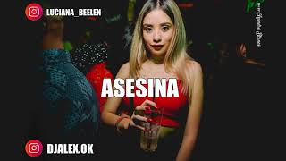 ASESINA BRYTIAGO ✘ DARELL ✘ DJ ALEX FIESTERO REMIX [upl. by Shelli]