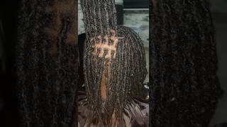 Locsdreads maintenance dreadslocks dreadlocs locs dreads shorts [upl. by Chuck]