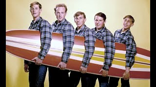 The Beach Boys Greatest Hits  Top of the Poppers Sing And Play The Beach Boys [upl. by Ynnek]