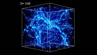 Formation of the largescale structure in the Universe filaments [upl. by Akeylah]