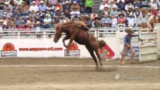 Jineteos de yegua  Semifinales del Nacional Charro Nayarit 2013 [upl. by Nessie]