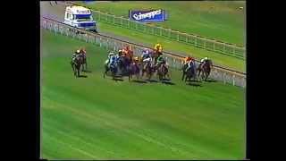 1985 Oakleigh Plate Day [upl. by Adnilemreh]