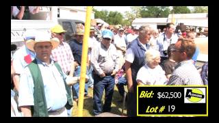 Aumann Auctions  Sylvester Antique Tractor Auction  Auctioning the Emerson Model L Tractor [upl. by Anaele]