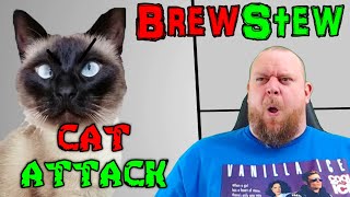 Get em Cotton  Brewstew Cat Attack REACTION [upl. by Carmelita]