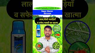 👌मकड़ियों व सफेद मक्खी की दवा  Bayer Oberon Insecticide insecticide pestcontrol shorts bayer [upl. by Assillem449]