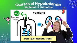 Hypokalemia Causes Whiteboard Animation [upl. by Gherardo]