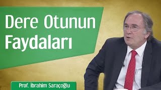 Dere Otunun Faydaları  Prof İbrahim Saraçoğlu [upl. by Dynah]