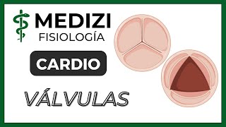 Clase 18 Fisiología Cardíaca 3  Función de las válvulas IGdoctorpaiva [upl. by Elocyn]