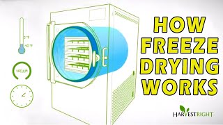 How Freeze Drying Works [upl. by Eiddet]