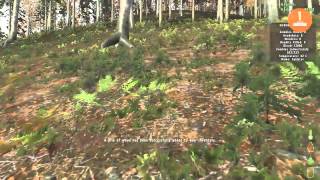 DayZ Tutorials 1 Deutsch HD  Nahrung in der Wildnis [upl. by Longtin]