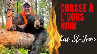 Chasse à l’ours noir 2023 Bear hunting [upl. by Atiuqin]