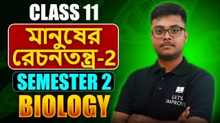 Human Excretory System Class 11 Biology in Bengali  Semester 2  Part2  Let’s Improve [upl. by Castillo338]