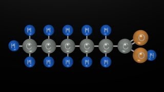 Fat Part 1 of 4 quotFree Fatty Acids and Triglyceridesquot [upl. by Esoranna]