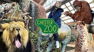 Chester Zoo Vlog  24th February 2024 [upl. by Malo]