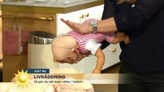 Expert visar Så gör du om ett barn sätter i halsen  Nyhetsmorgon TV4 [upl. by Eri765]