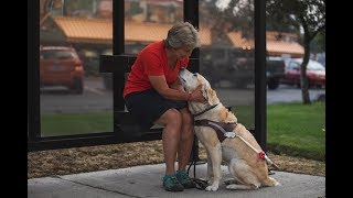 How to Operate the Ruffwear Audible Beacon [upl. by Trixi]