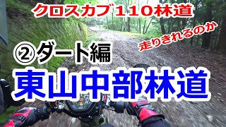 林道クロスカブ110 ツーリング 東山中部林道 ②ダート編 カブは走りきれるのか [upl. by Walkling584]