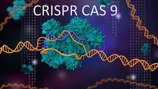 CRISPR CAS9  An Acquired immune system of bacteria explained [upl. by Elbring540]