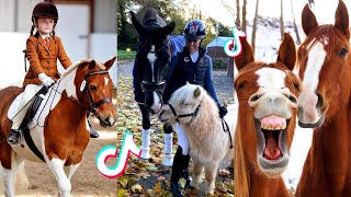 The Cutest HORSES  Equestrian TikTok Compilation 51 [upl. by Atnauq]