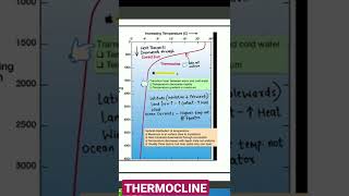 THERMOCLINE [upl. by Horne]